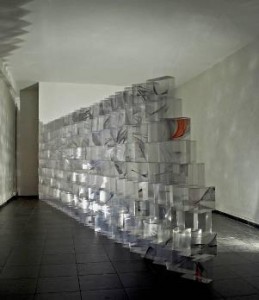 trasparente, franca bernardi, 2012